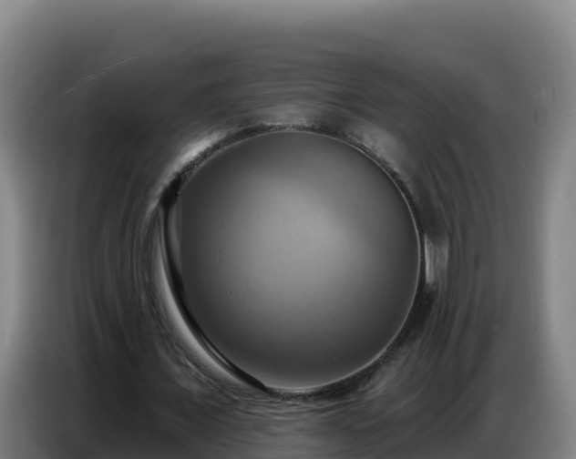 X0000086750675200704201726