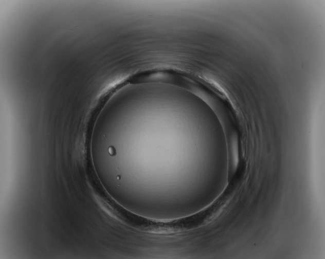 X0000086750677200704201726