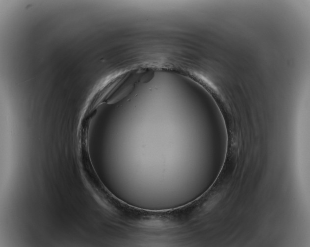 X0000086750678200704201726