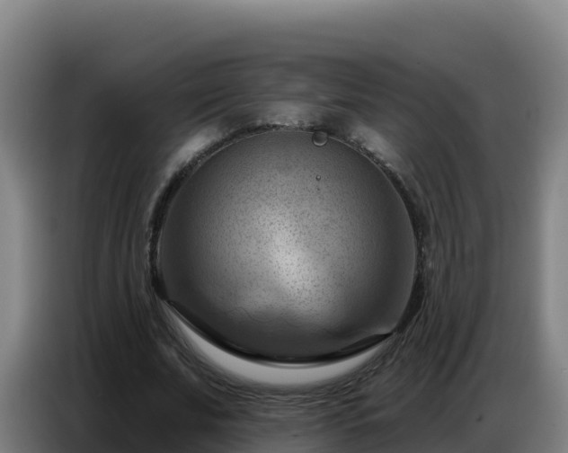 X0000086750679200704201726