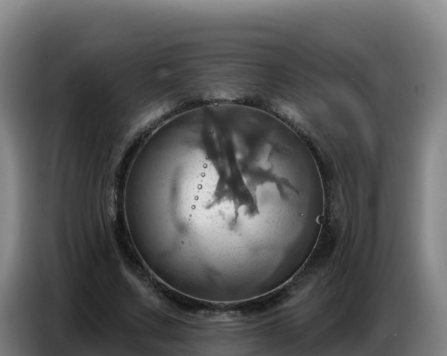 X0000086750683200704201725