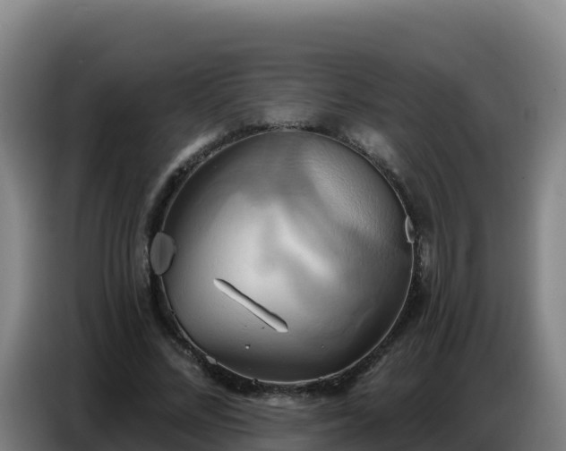 X0000086750684200704201725