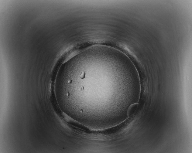 X0000086750685200704201725