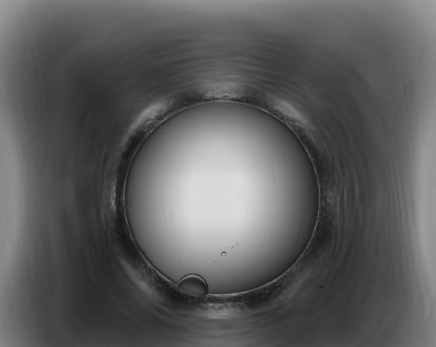 X0000086750686200704201725