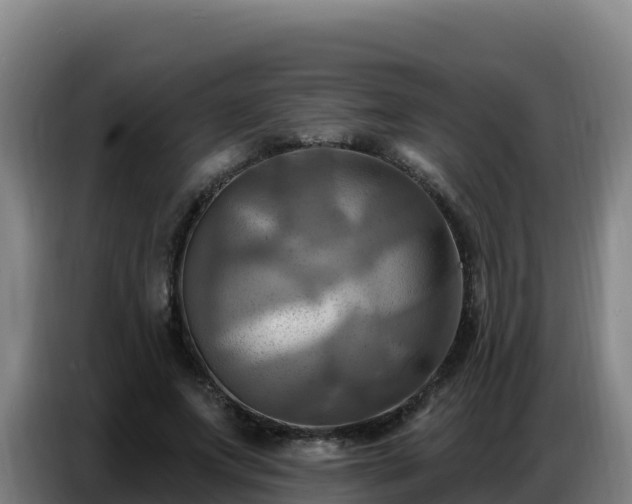 X0000086750687200704201725
