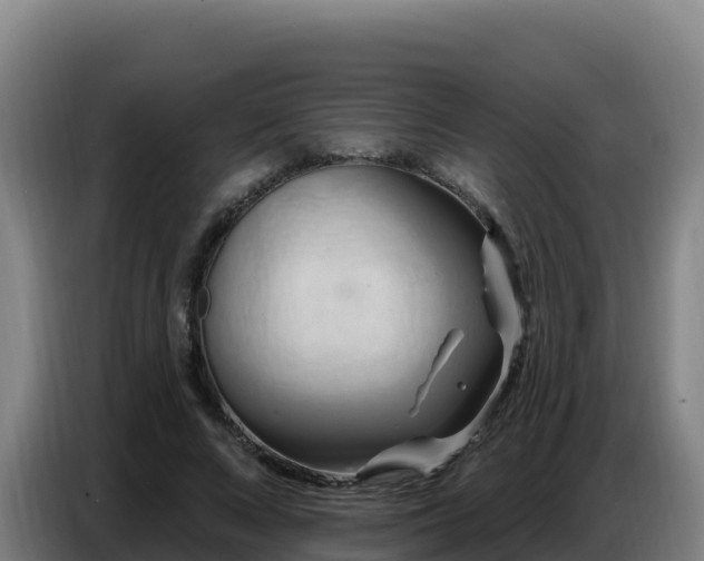 X0000086750688200704201725