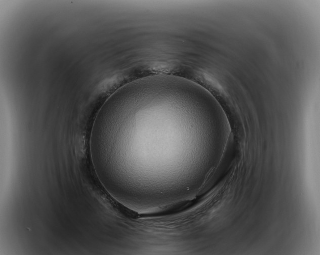 X0000086750689200704201725