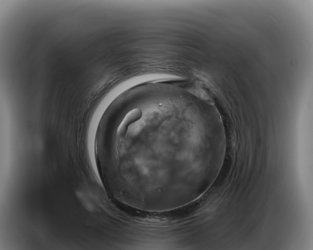 X0000086750691200704201725