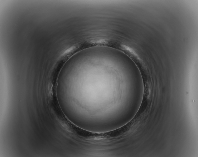 X0000086750692200704201725
