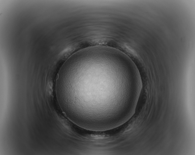 X0000086750693200704201725