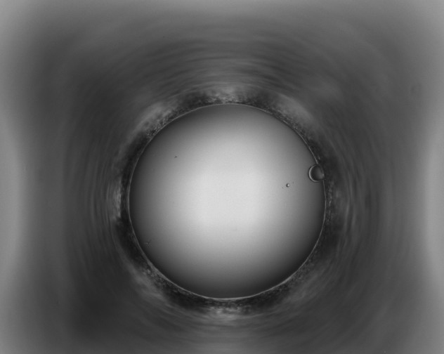 X0000086750694200704201725