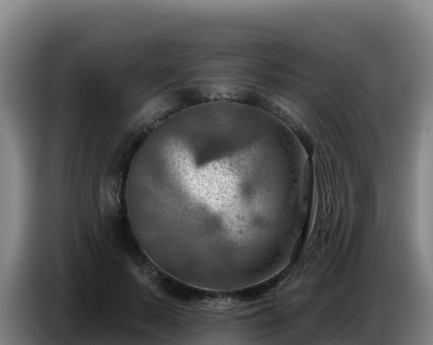 X0000086750695200704201725