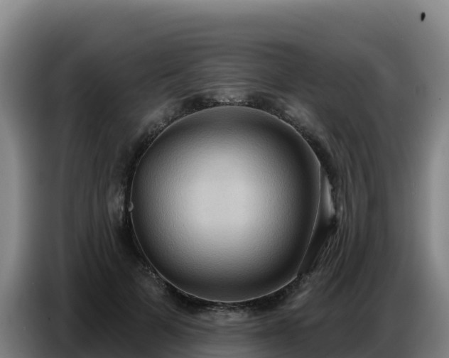 X0000086750697200704201725