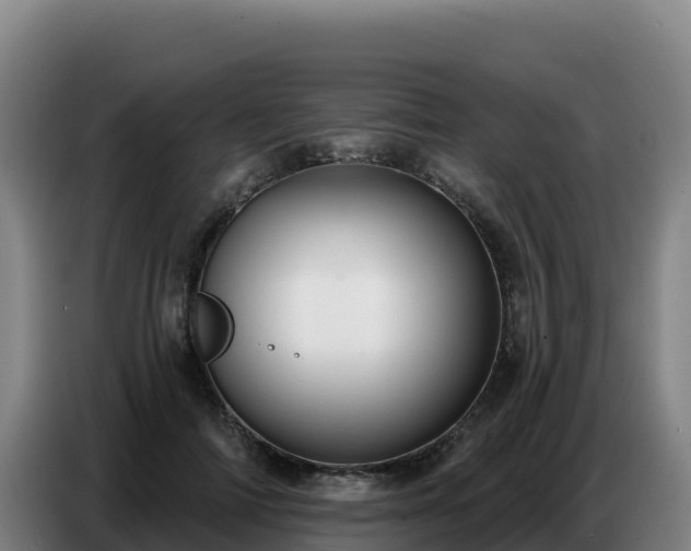 X0000086750698200704201725