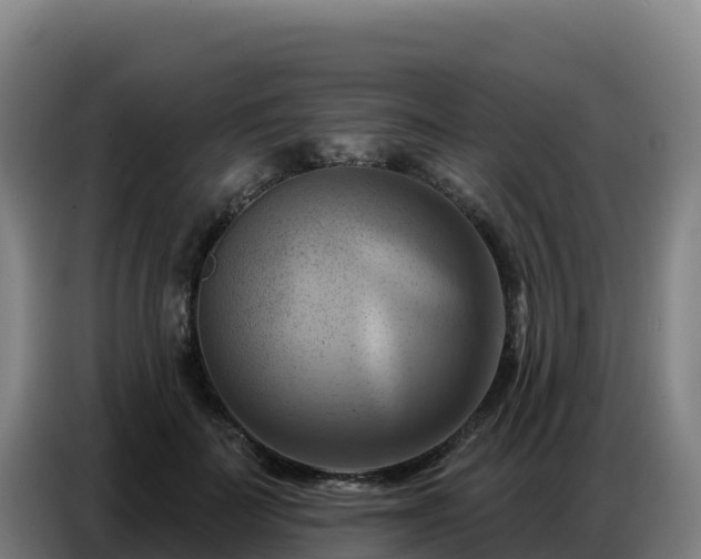 X0000086750699200704201725