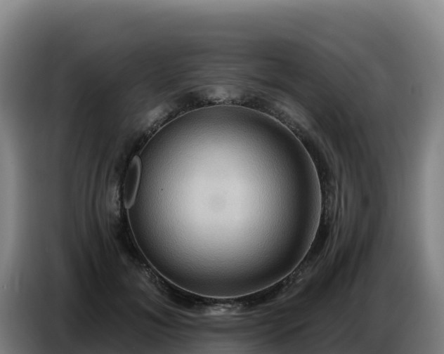 X0000086750700200704201725