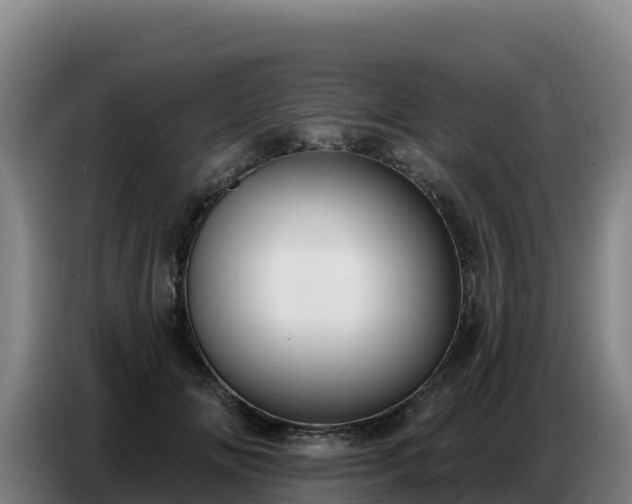 X0000086750702200704201725