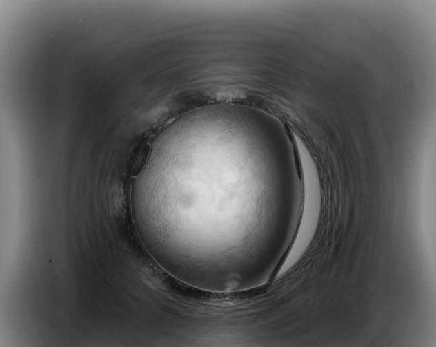 X0000086750704200704201725