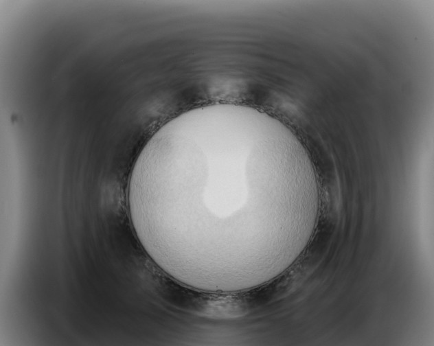 X0000086750705200704201725