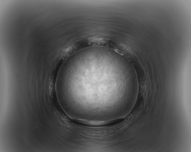 X0000086750708200704201725