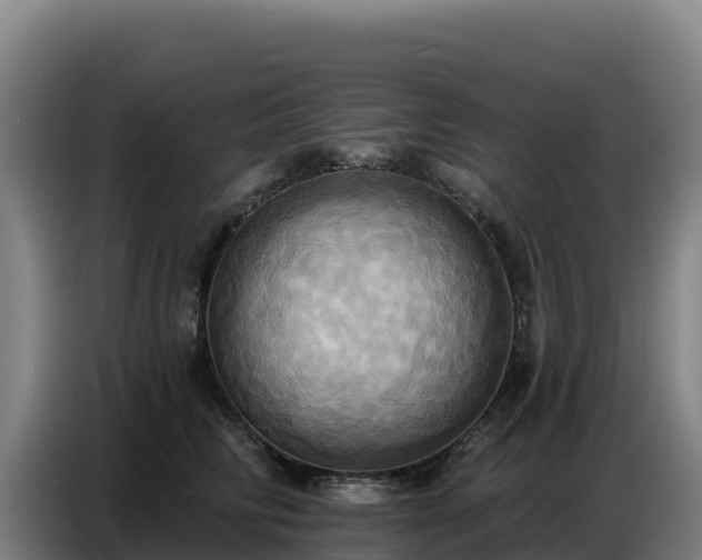 X0000086750710200704201725