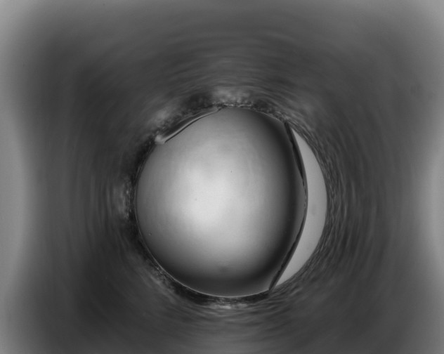 X0000086750712200704201725
