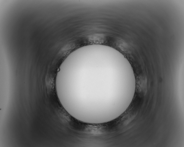 X0000086750713200704201725