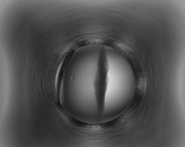 X0000086750715200704201725