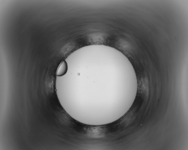 X0000086750717200704201725