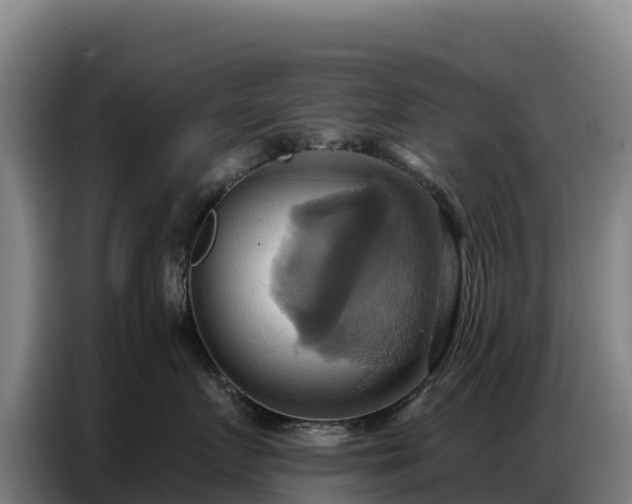 X0000086750719200704201725