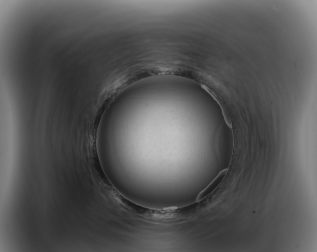 X0000086750720200704201725