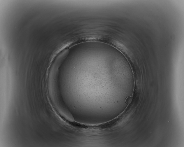 X0000086750721200704201724