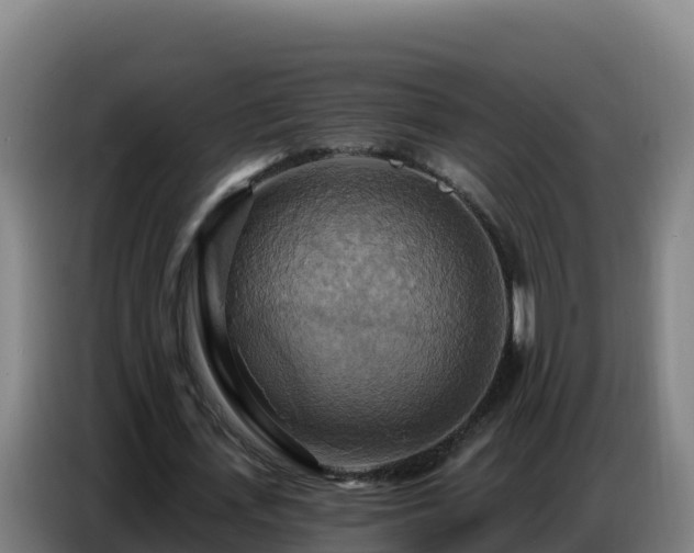 X0000086750723200704201724