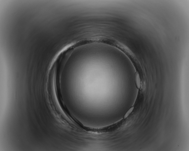 X0000086750724200704201724