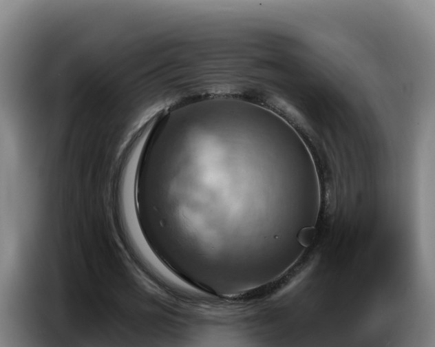 X0000086750725200704201724