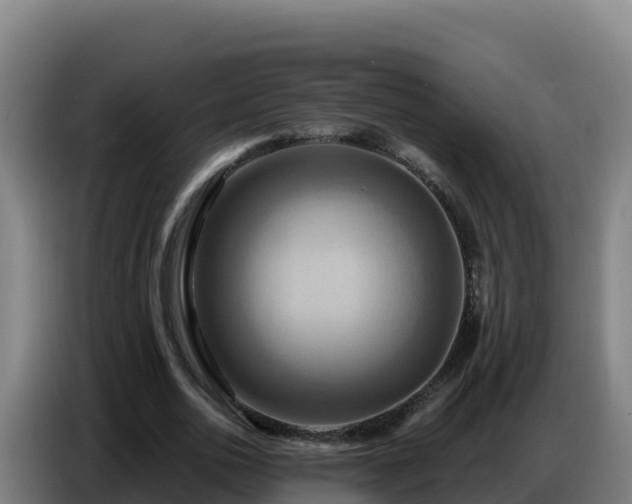 X0000086750726200704201724