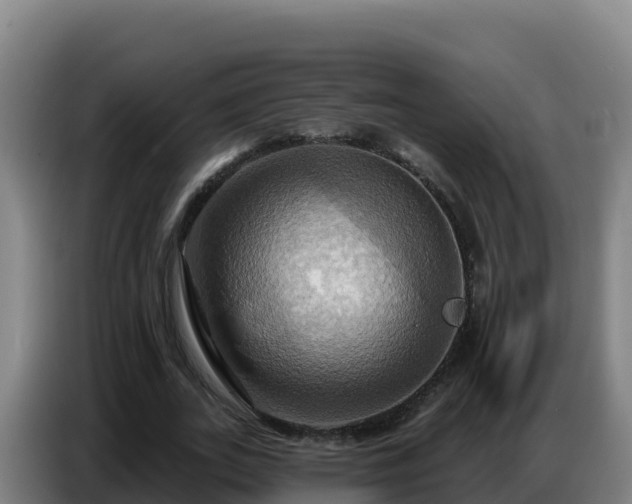 X0000086750727200704201724