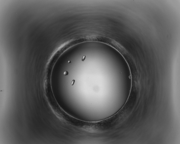 X0000086750728200704201725
