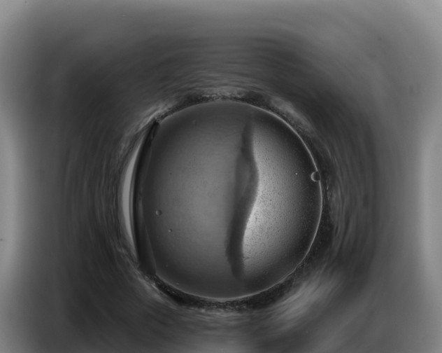 X0000086750729200704201725