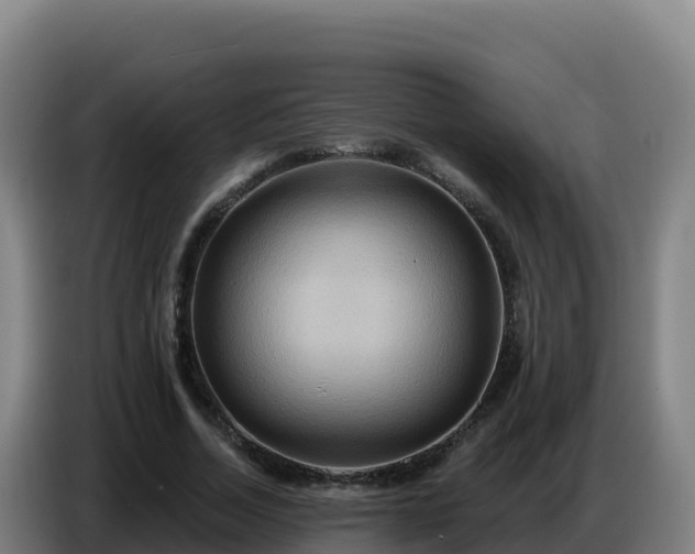 X0000086750730200704201725