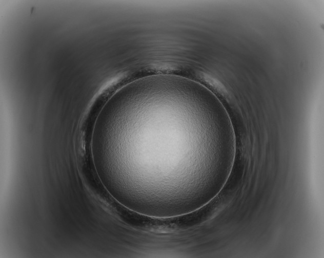 X0000086750731200704201725