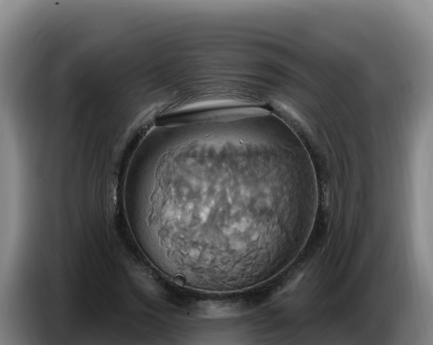 X0000086750733200704201725