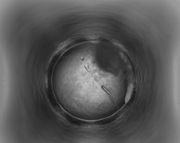 X0000086750734200704201725