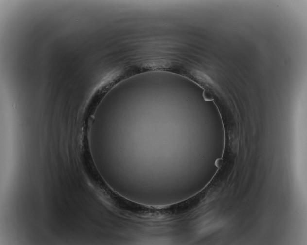 X0000086750735200704201725