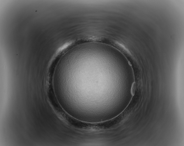 X0000086750736200704201725