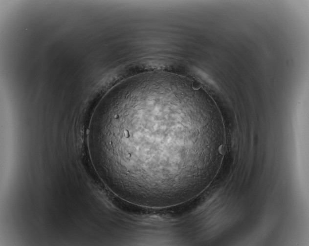 X0000086750737200704201725