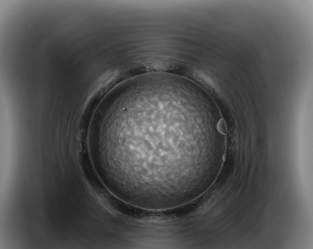 X0000086750738200704201725