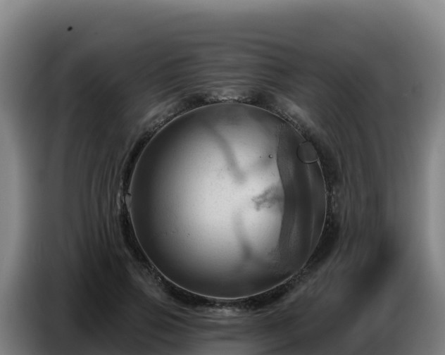X0000086750741200704201725