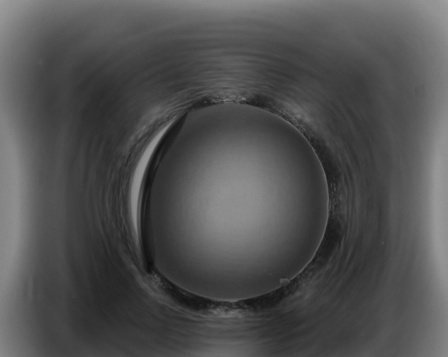 X0000086750742200704201725