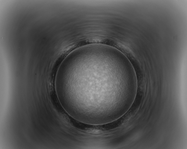 X0000086750743200704201725